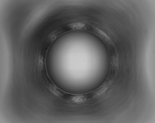 X0000113260761200909101459