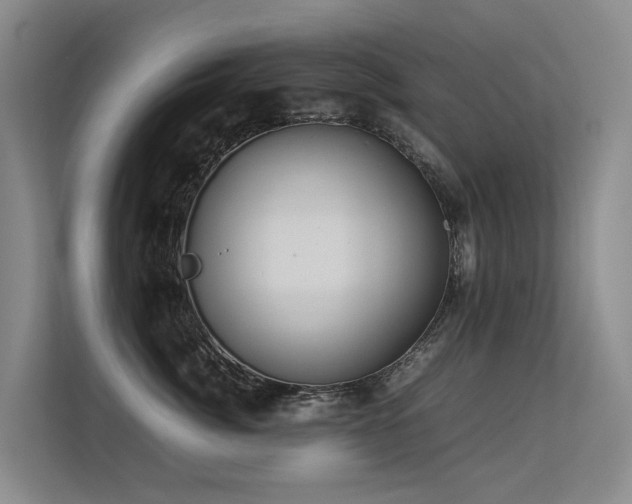 X0000113260764200909101459