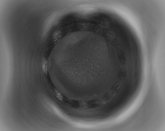 X0000113260766200909101459