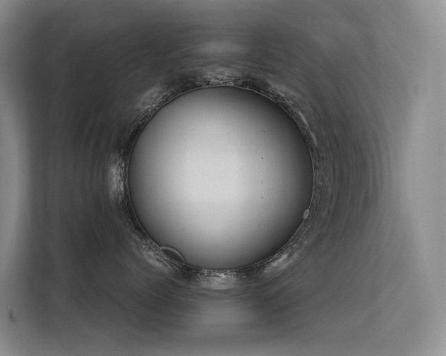 X0000113260768200909101459