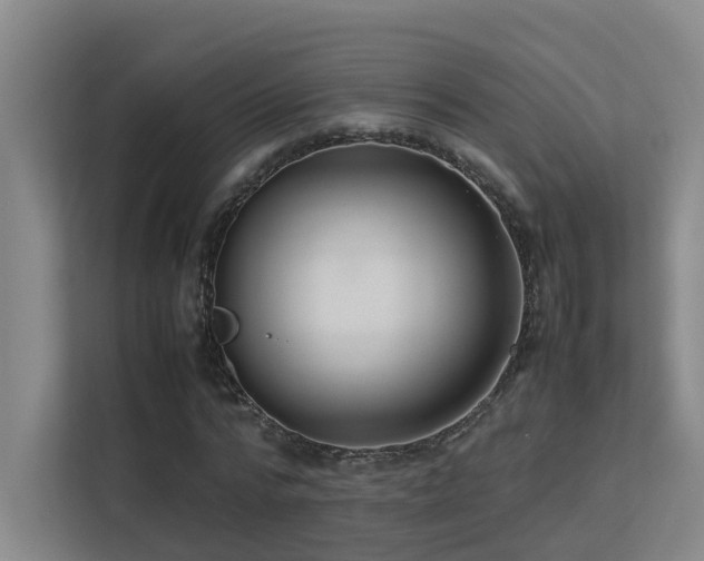 X0000113260776200909101458