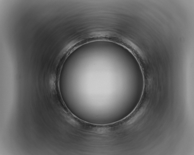 X0000113260778200909101458