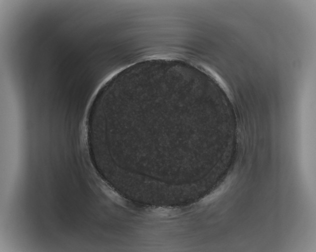 X0000113260779200909101458