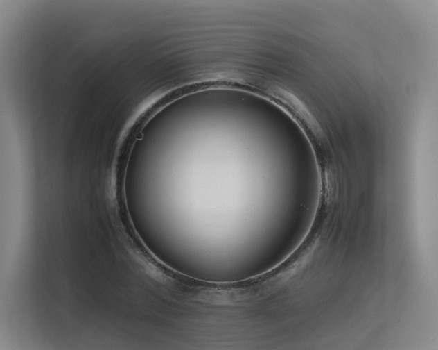 X0000113260780200909101458