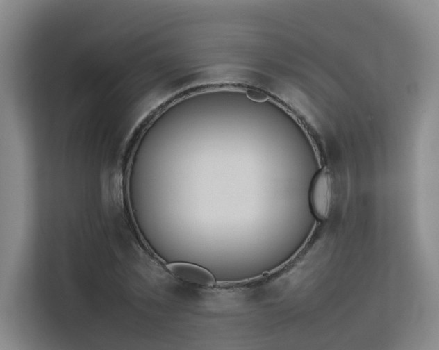 X0000113260781200909101458