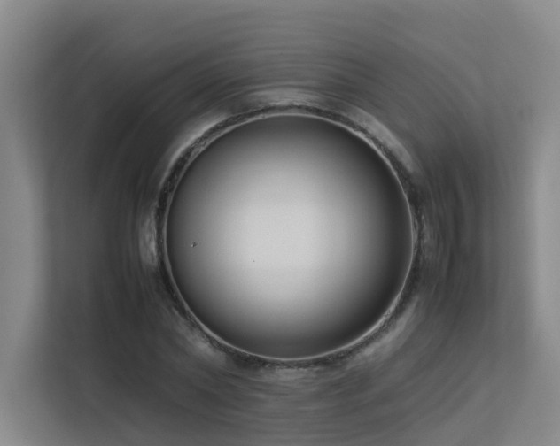 X0000113260782200909101458