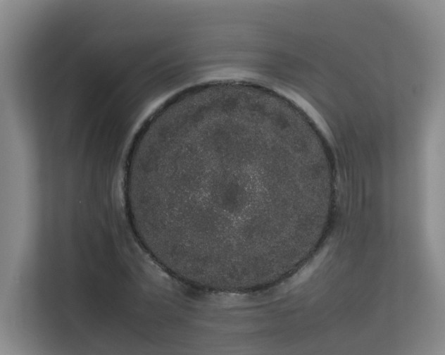 X0000113260783200909101458