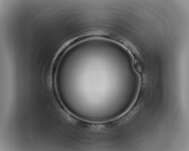 X0000113260784200909101458