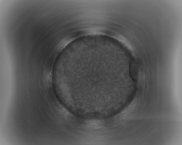 X0000113260785200909101458