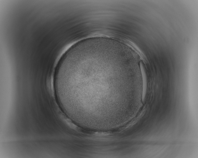 X0000113260788200909101458