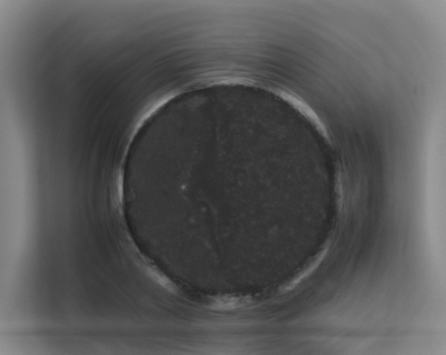 X0000113260790200909101458