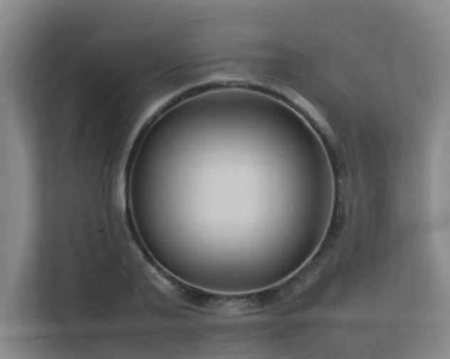 X0000113260791200909101458