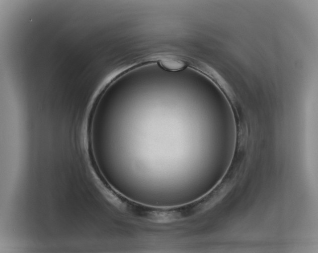 X0000113260795200909101458