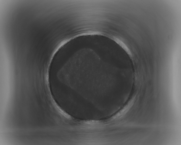 X0000113260797200909101458