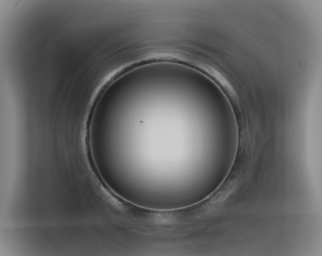 X0000113260799200909101458