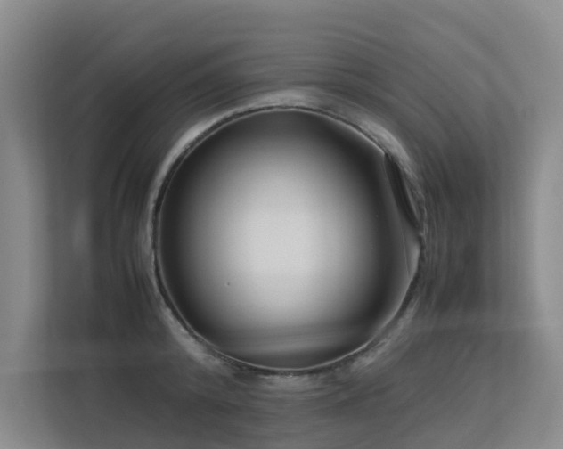 X0000113260800200909101458