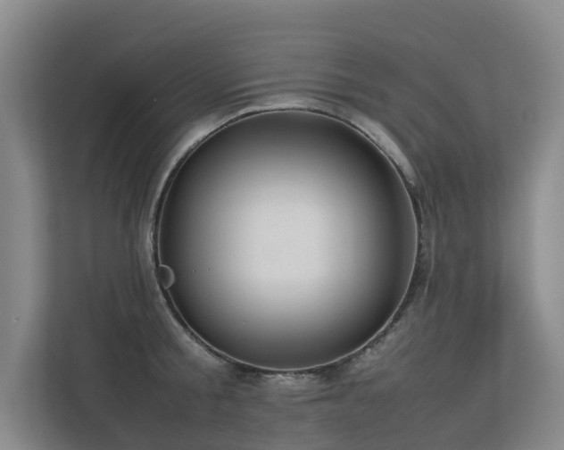 X0000113260805200909101458