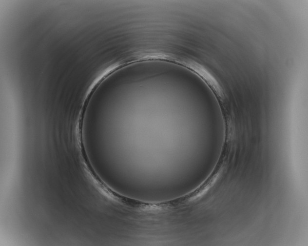 X0000113260806200909101457