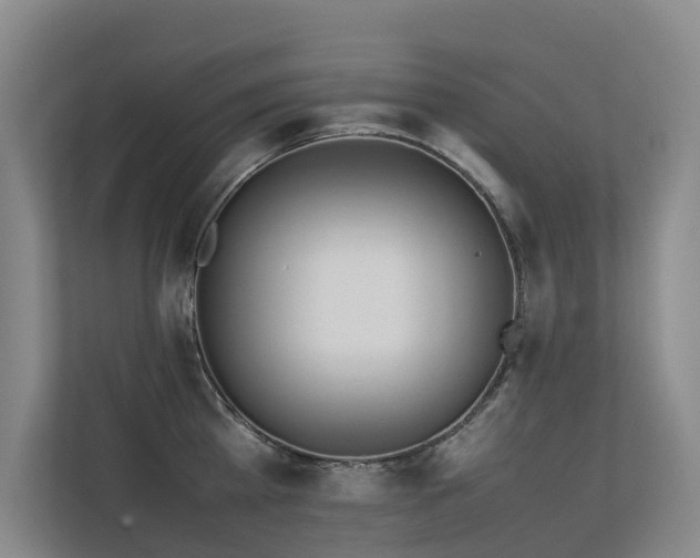 X0000113260809200909101457