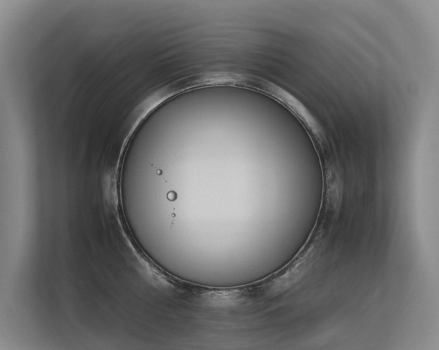 X0000113260810200909101457