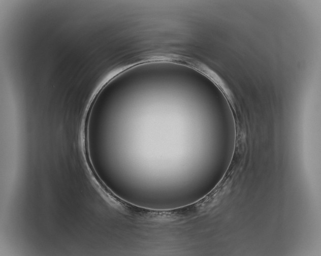 X0000113260811200909101457