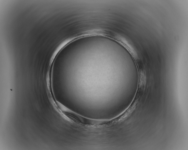 X0000113260812200909101457