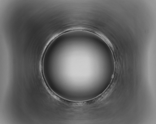 X0000113260813200909101457