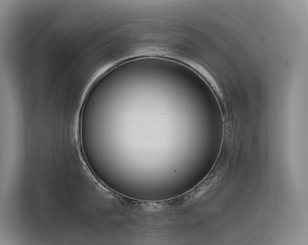 X0000113260815200909101457