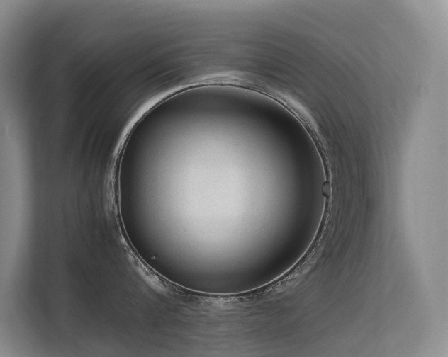 X0000113260816200909101457