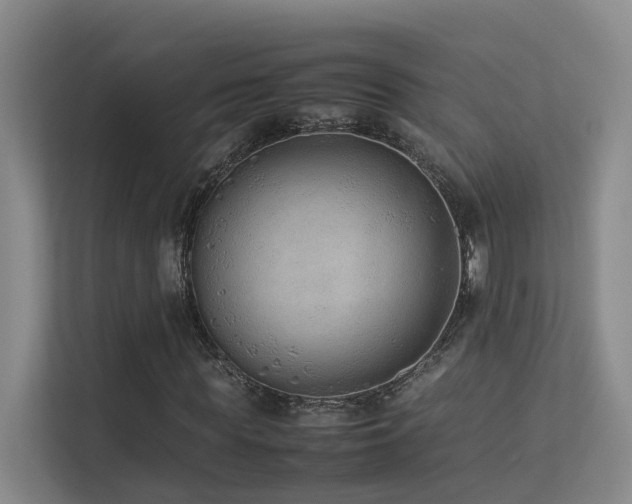 X0000113260819200909101457