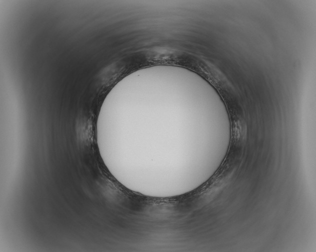 X0000113260820200909101457