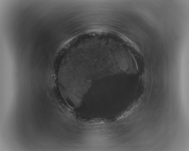 X0000113260822200909101457