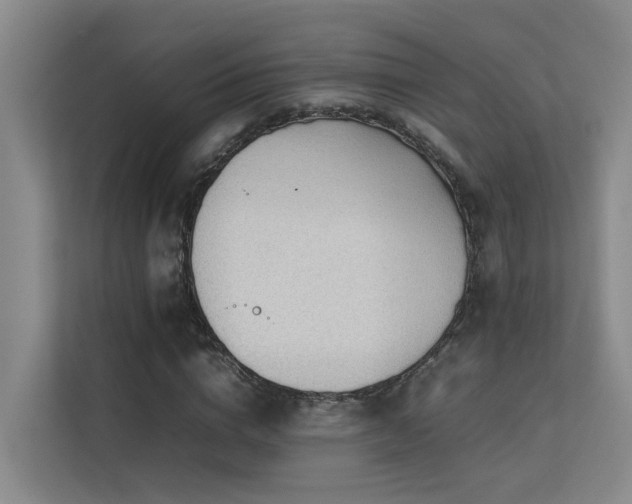 X0000113260824200909101457