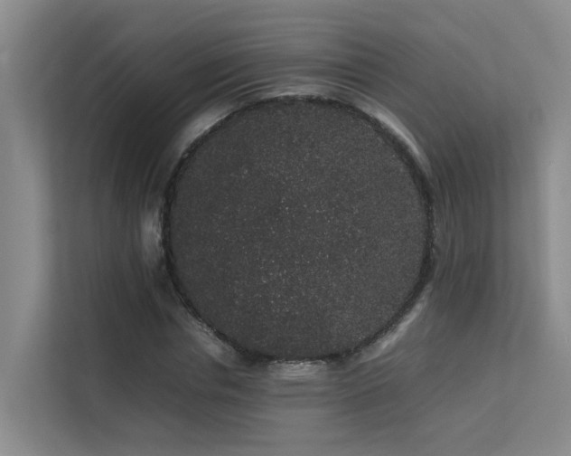 X0000113260826200909101457