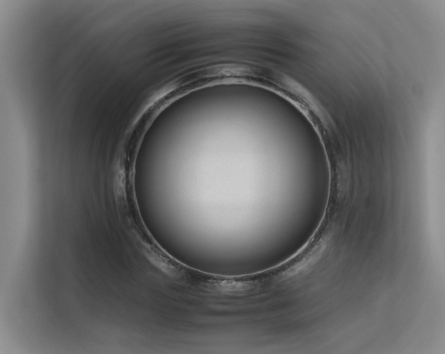 X0000113260827200909101457