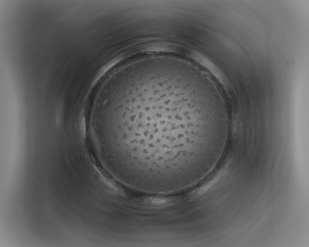 X0000113260829200909101457