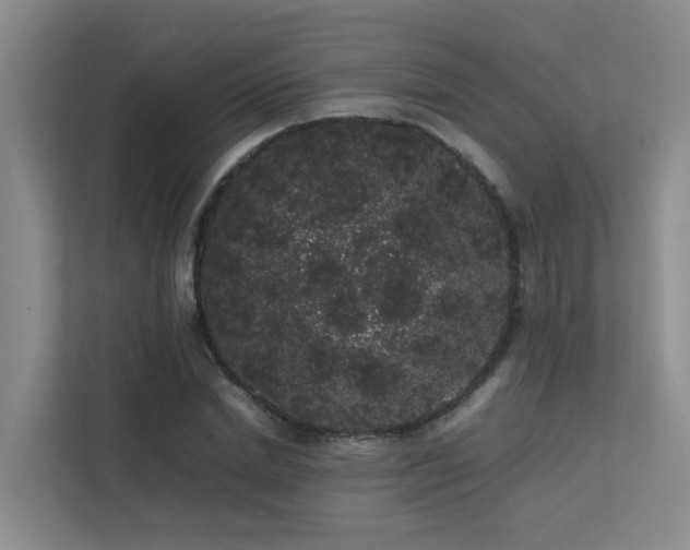 X0000113260830200909101457