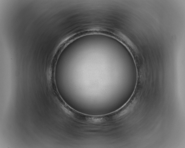 X0000113260831200909101457