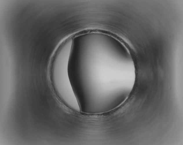 X0000113260832200909101457