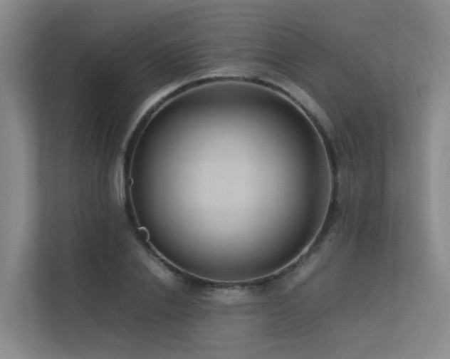 X0000113260838200909101457