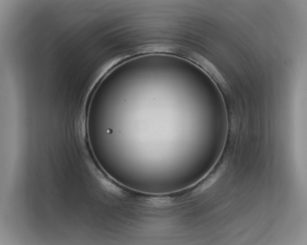 X0000113260844200909101457