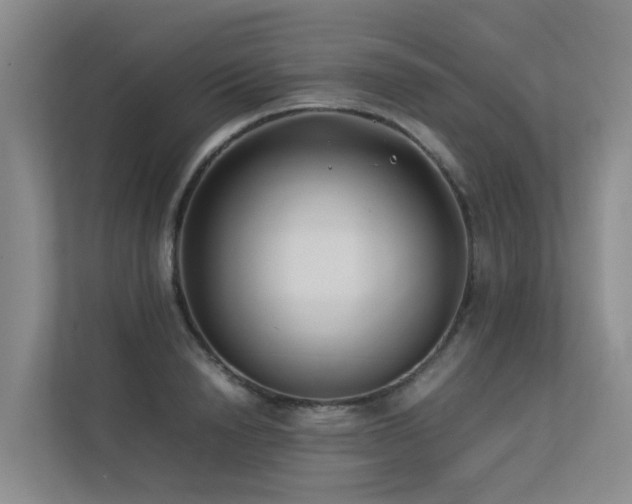 X0000113260846200909101457