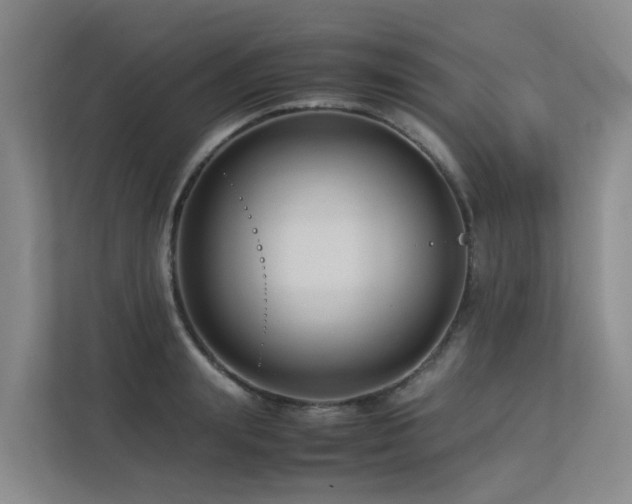 X0000113260847200909101457