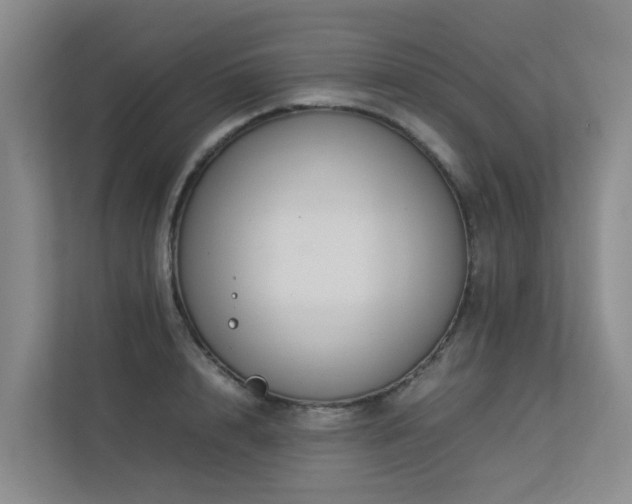 X0000113260848200909101457