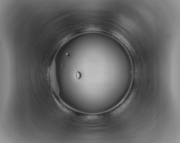 X0000113260849200909101457