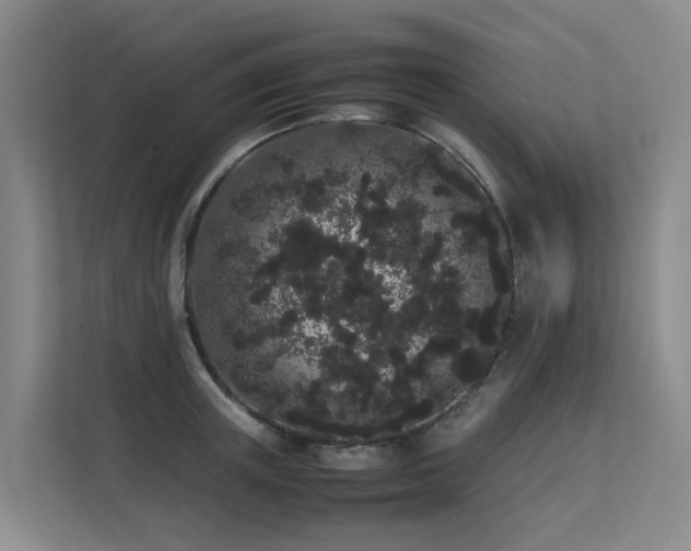 X0000113260851200909101457