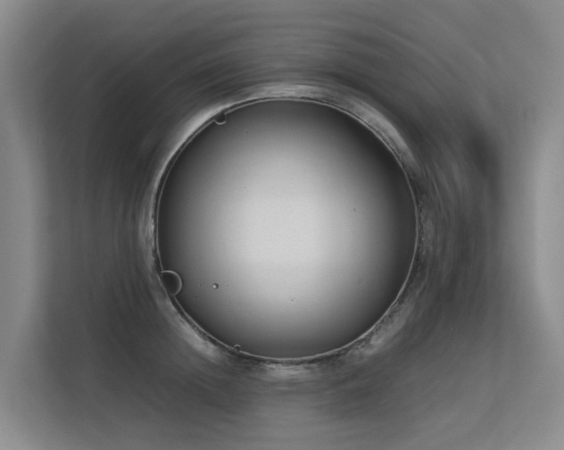 X0000113260852200909101457