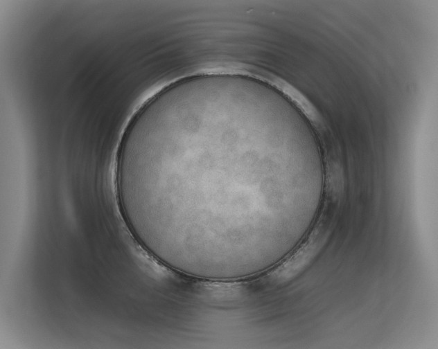 X0000113260856200909101457