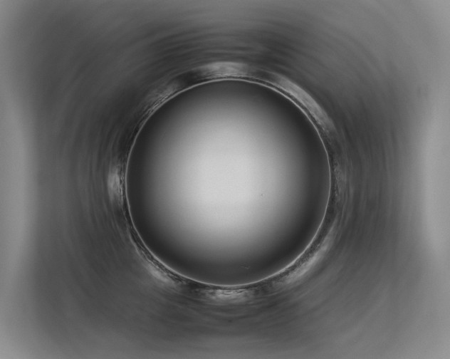 X0000113260857200909101457