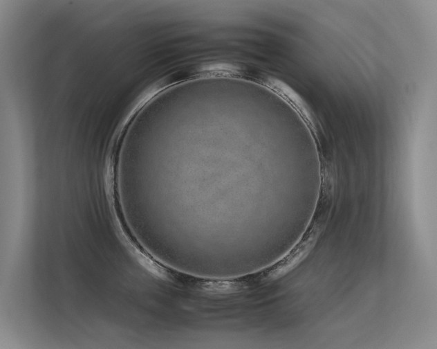 X0000113260859200909101457